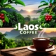 Discover the Rich Flavors of Laos Coffee: A Guide to the Best Brews