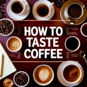 Mastering the Art of How to Taste Coffee Like a Pro