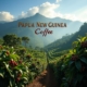 Papua New Guinea Coffee: Discover Rich Flavors and Unique Varieties