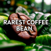 Rarest Coffee Bean: Discover the World's Most Exclusive Brews