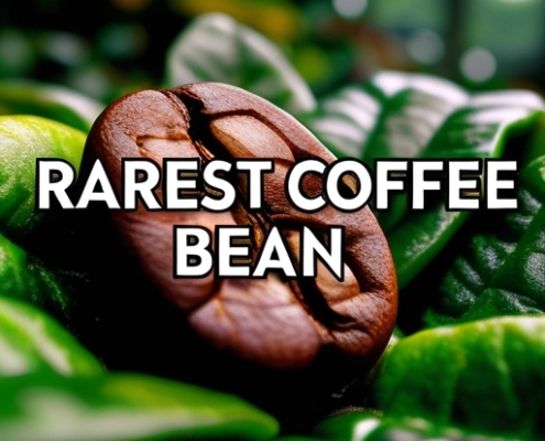 Rarest Coffee Bean: Discover the World's Most Exclusive Brews